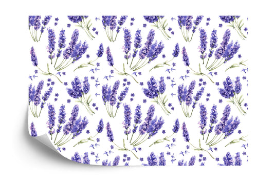 Fototapete Lavendel Blumen