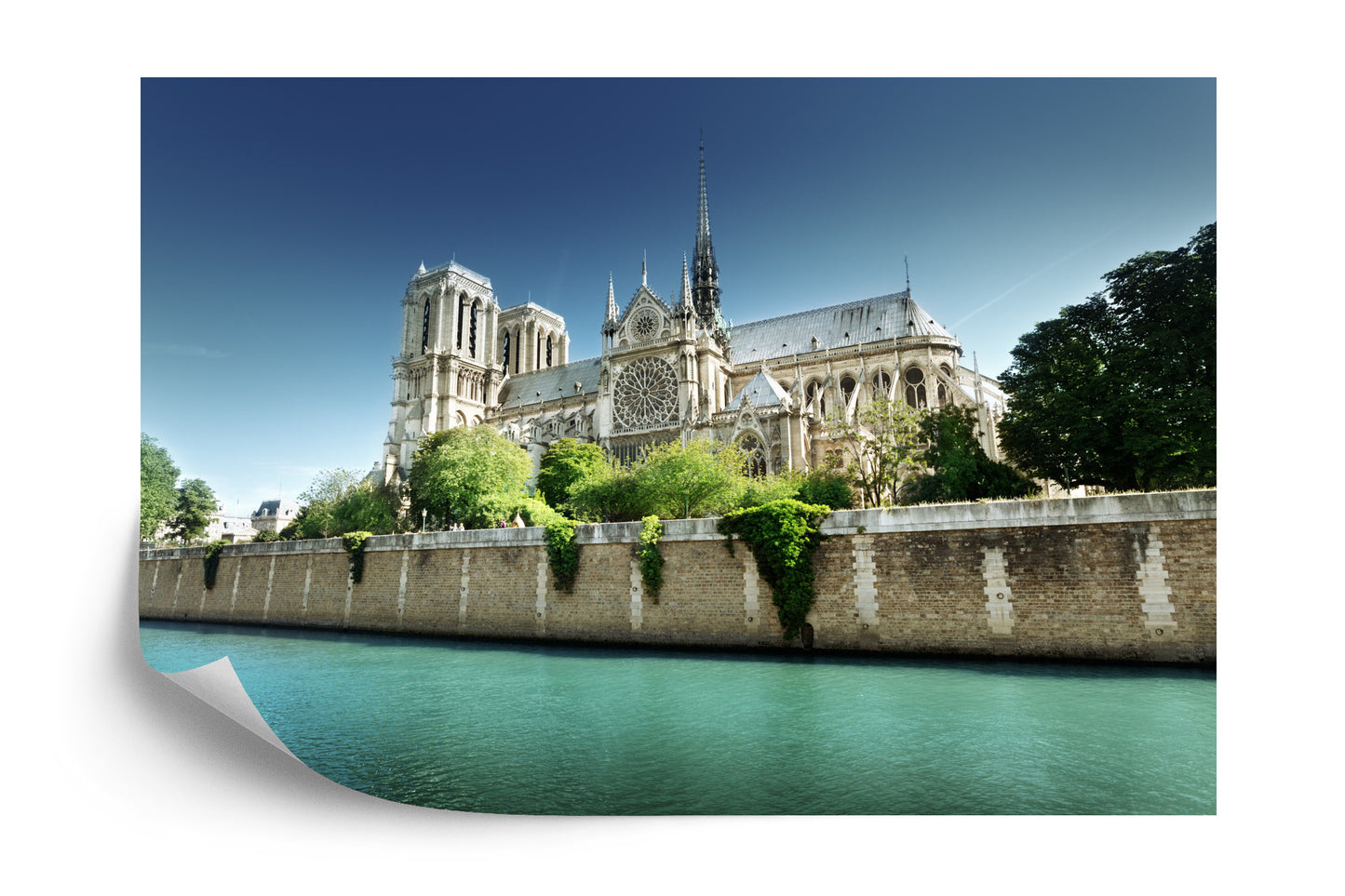 Fototapete Paris - Notre-Dame