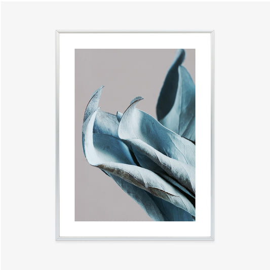 Poster Blaue Blätter Auf Grauem Hintergrund