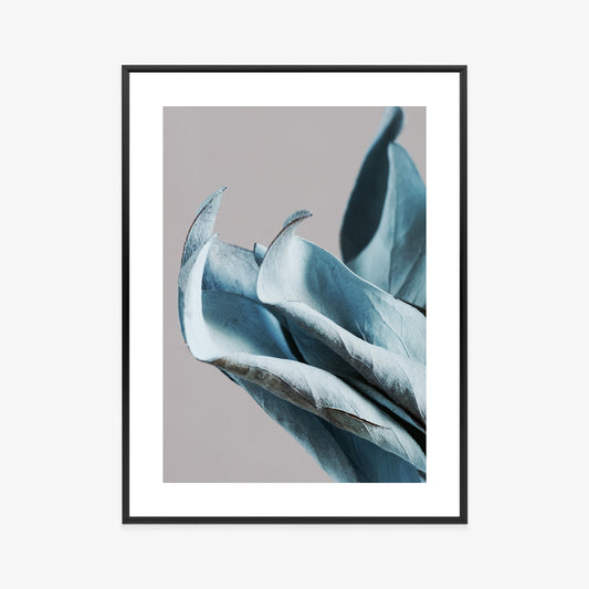 Poster Blaue Blätter Auf Grauem Hintergrund