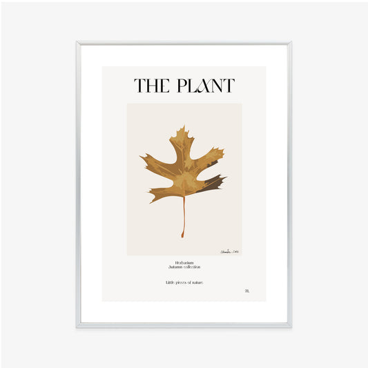 Poster Herbstblatt Im Herbarium Rahmen Holz Mit Passepartout Farbe Natürlich