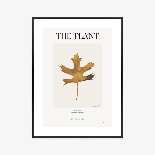 Poster Herbstblatt Im Herbarium Rahmen Holz Mit Passepartout Farbe Natürlich