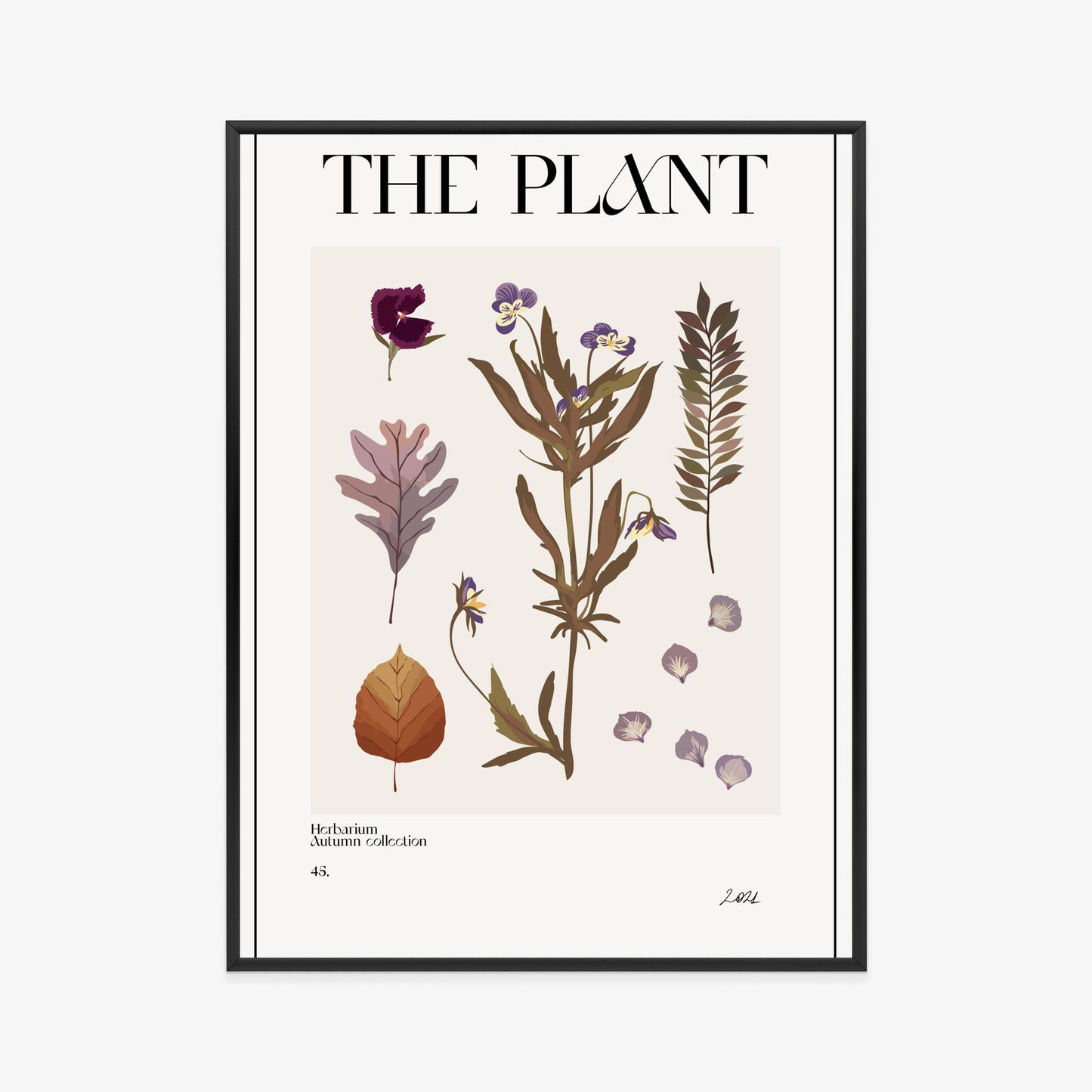Poster Herbstpflanzen Im Herbarium Rahmen Aluminium Mit Passepartout Farbe Schwarz