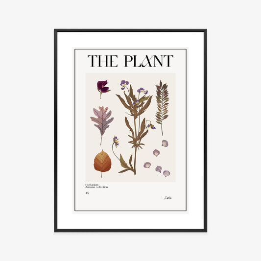 Poster Herbstpflanzen Im Herbarium Rahmen Aluminium Mit Passepartout Farbe Schwarz