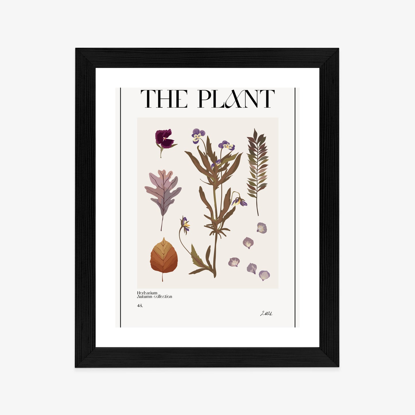 Poster Herbstpflanzen Im Herbarium Rahmen Aluminium Mit Passepartout Farbe Schwarz