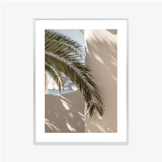 Poster Palmblätter Mit Schatten Auf Einer Beigen Wand Rahmen Holz Mit Passepartout Farbe Natürlich