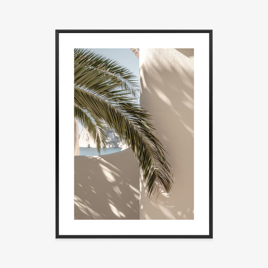 Poster Palmblätter Mit Schatten Auf Einer Beigen Wand Rahmen Holz Mit Passepartout Farbe Natürlich