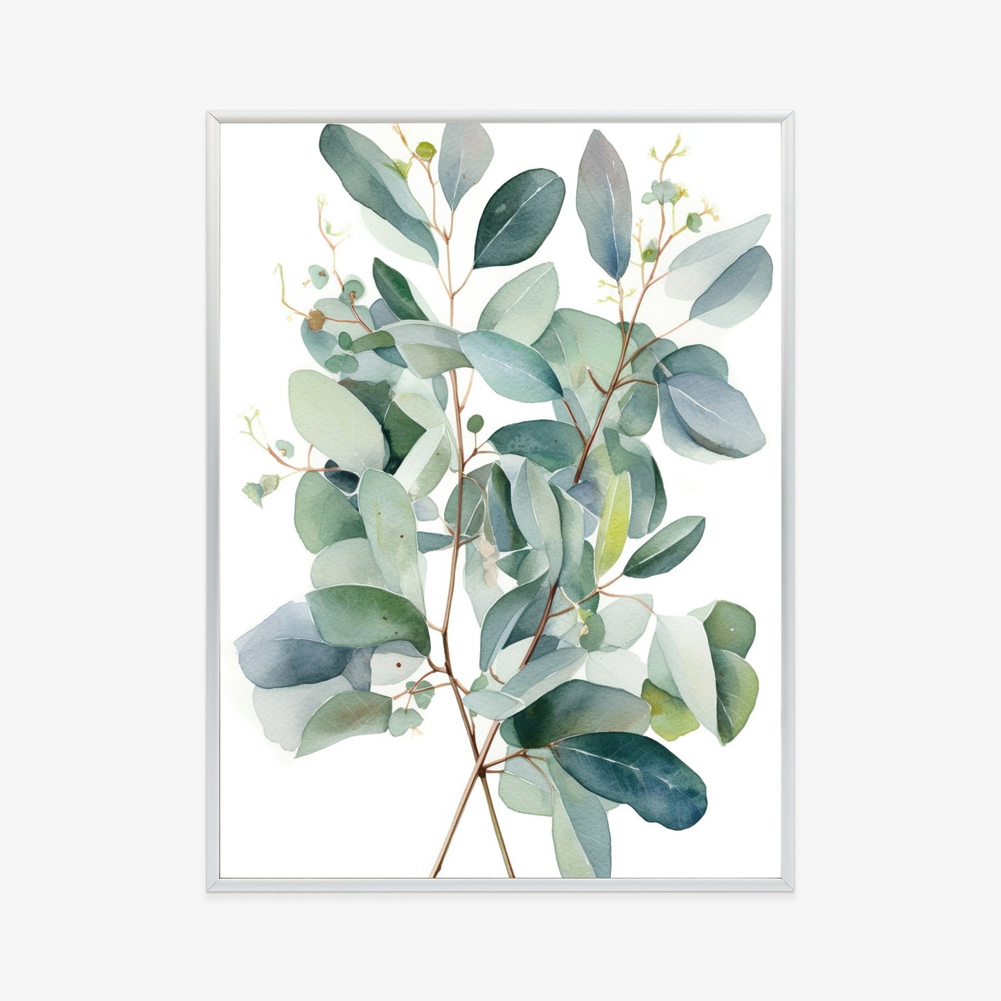 Poster Eukalyptuszweigstrauß Mit Aquarell Bemalt