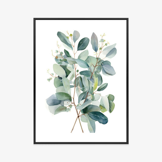 Poster Eukalyptuszweigstrauß Mit Aquarell Bemalt