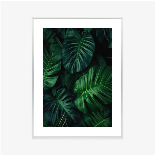 Poster Botanisches Muster Aus Dunkelgrünen Monstera-Blättern Rahmen Holz Mit Passepartout Farbe Natürlich