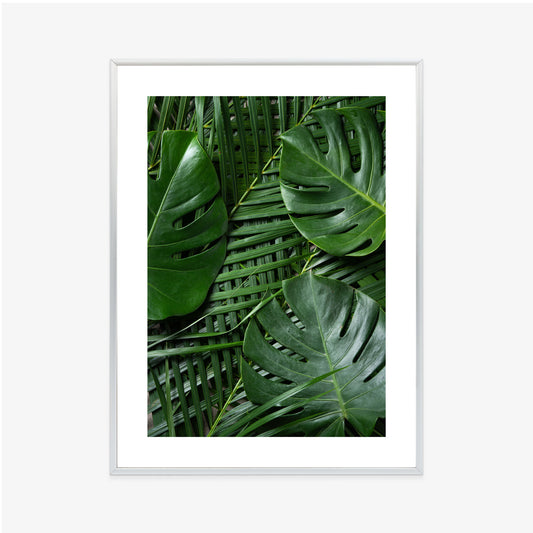 Poster Grüne Monstera Und Palmblätter Rahmen Holz Mit Passepartout Farbe Natürlich