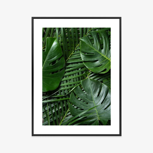 Poster Grüne Monstera Und Palmblätter Rahmen Holz Mit Passepartout Farbe Natürlich