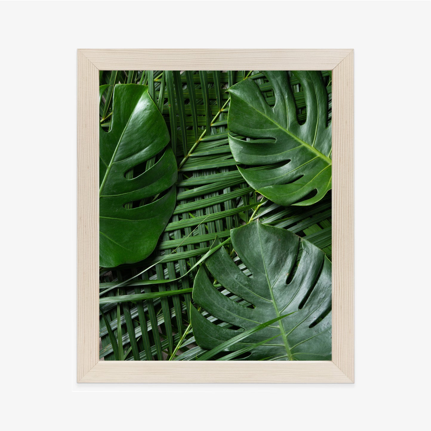 Poster Grüne Monstera Und Palmblätter Rahmen Holz Mit Passepartout Farbe Natürlich