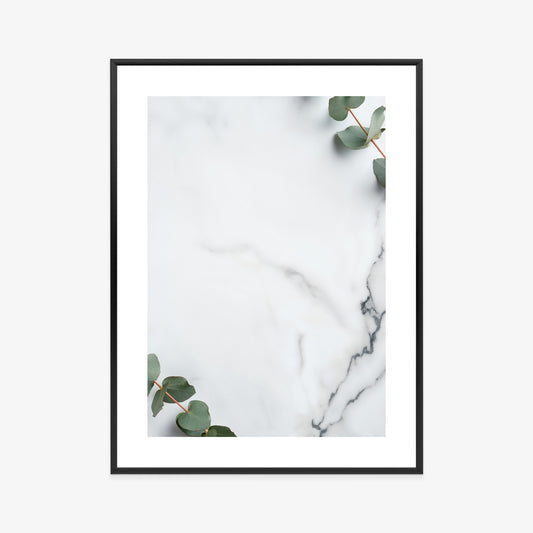 Poster Grünes Eukalyptusblatt Auf Marmor Rahmen Holz Mit Passepartout Farbe Natürlich