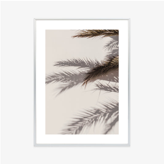 Poster Palmblätter Mit Schattenreflexion An Der Wand Rahmen Holz Mit Passepartout Farbe Natürlich