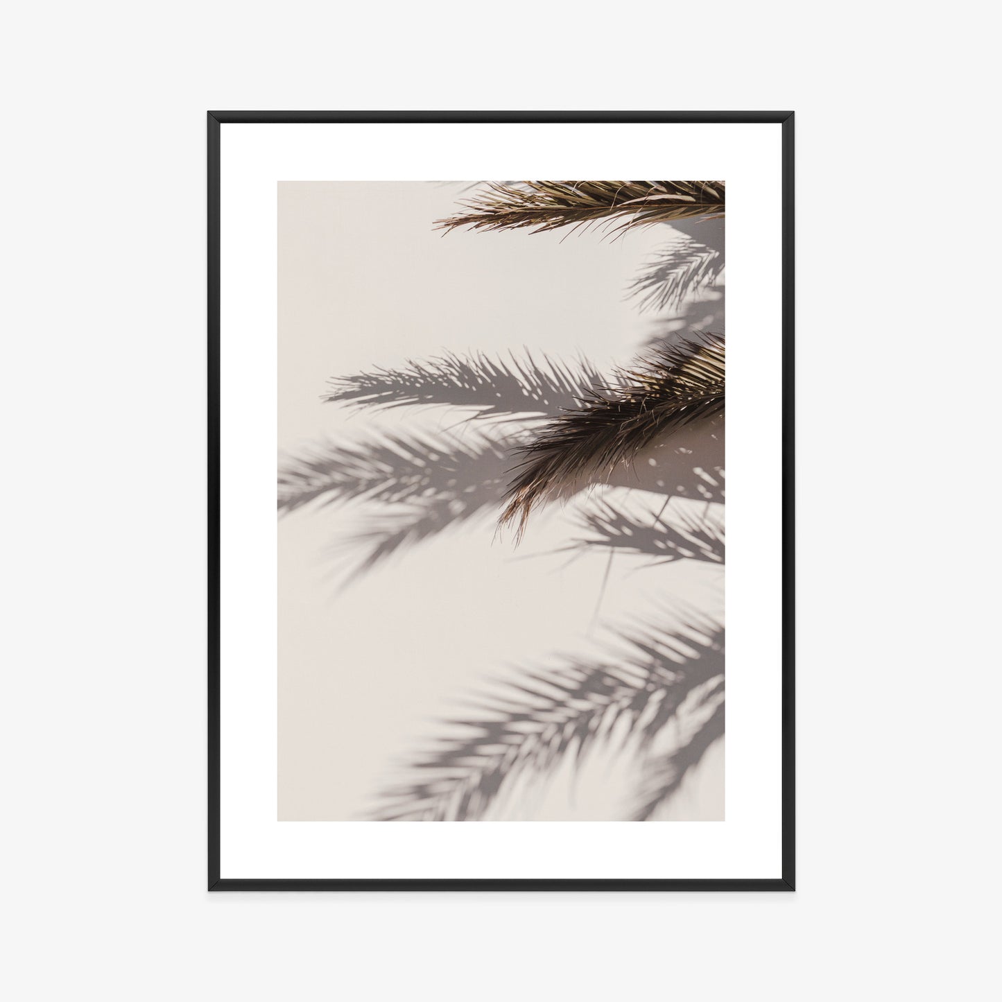Poster Palmblätter Mit Schattenreflexion An Der Wand Rahmen Holz Mit Passepartout Farbe Natürlich