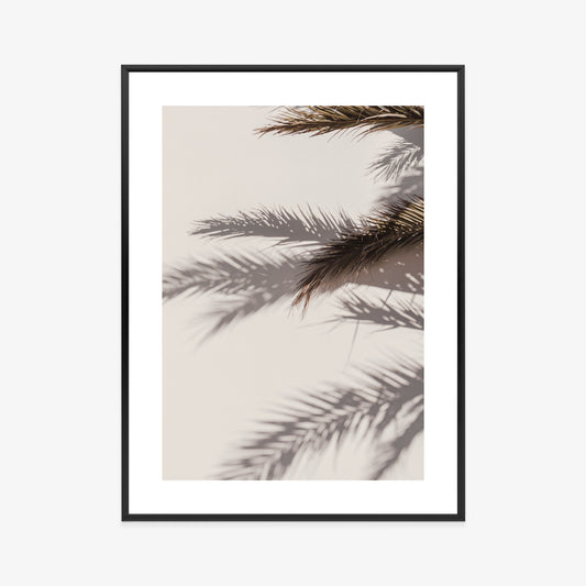 Poster Palmblätter Mit Schattenreflexion An Der Wand Rahmen Holz Mit Passepartout Farbe Natürlich