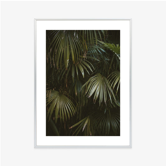 Poster Dunkelgrüne Palmblätter Rahmen Holz Mit Passepartout Farbe Natürlich