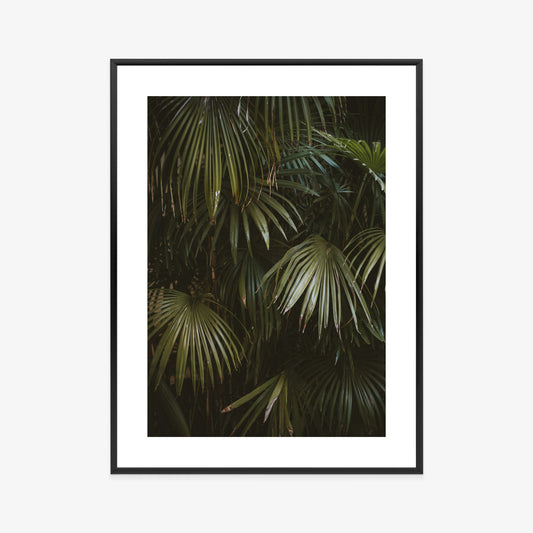 Poster Dunkelgrüne Palmblätter Rahmen Holz Mit Passepartout Farbe Natürlich