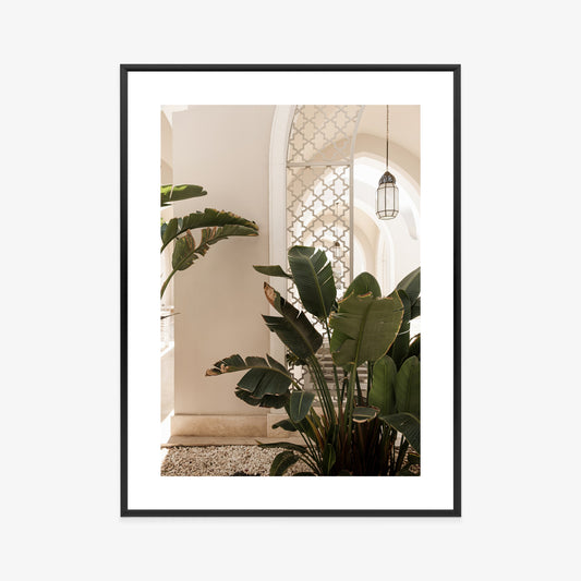 Poster Palmen Am Eingang Eines Weißen Orientalischen Hauses Rahmen Holz Mit Passepartout Farbe Natürlich
