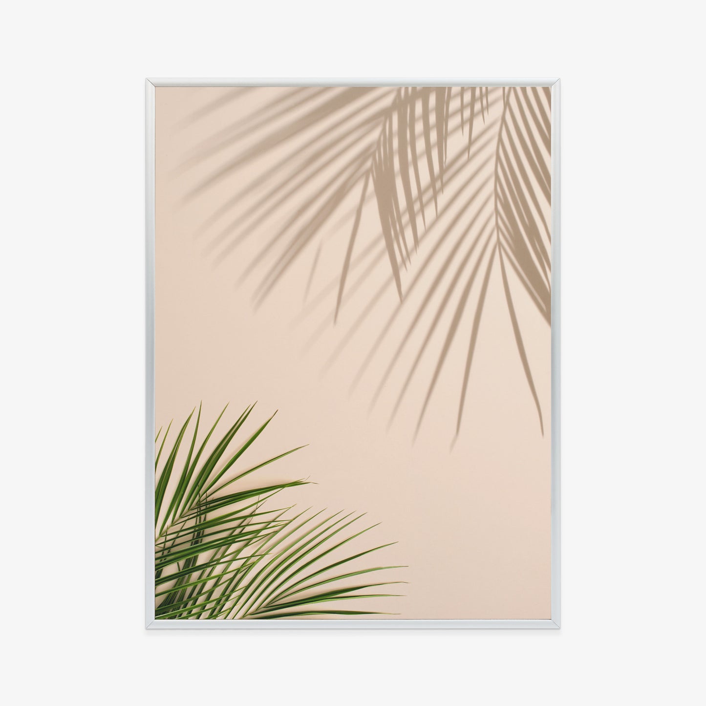 Poster Sommer Natürliche Grüne Palmblätter Und Schatten Rahmen Aluminium Farbe Schwarz