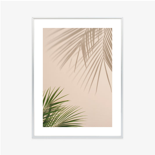 Poster Sommer Natürliche Grüne Palmblätter Und Schatten Rahmen Aluminium Farbe Schwarz