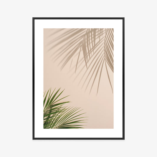 Poster Sommer Natürliche Grüne Palmblätter Und Schatten Rahmen Aluminium Farbe Schwarz
