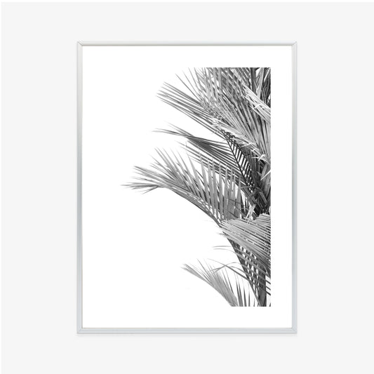 Poster Schwarze Und Weiße Palmblätter Rahmen Holz Mit Passepartout Farbe Natürlich