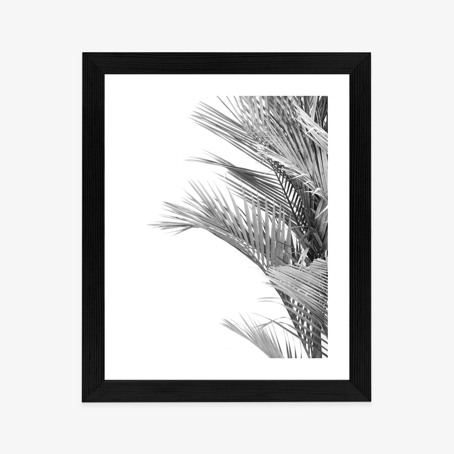 Poster Schwarze Und Weiße Palmblätter Rahmen Holz Mit Passepartout Farbe Natürlich
