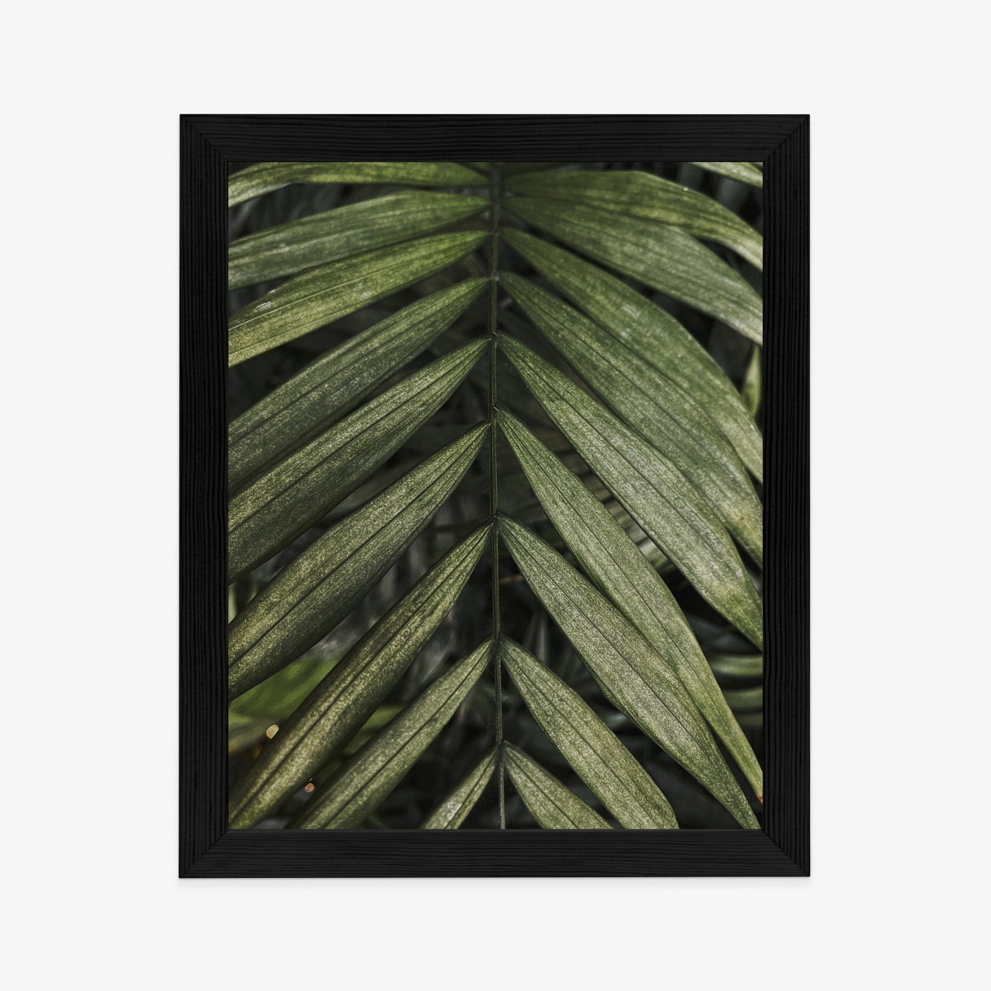 Poster Exotische Palmblätter Rahmen Hölzern Farbe Natürlich