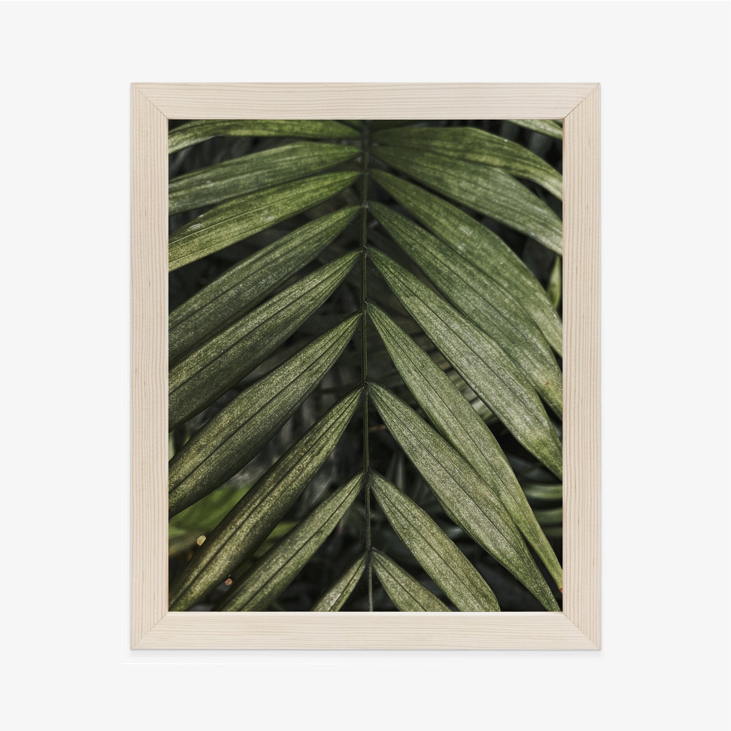 Poster Exotische Palmblätter Rahmen Hölzern Farbe Natürlich
