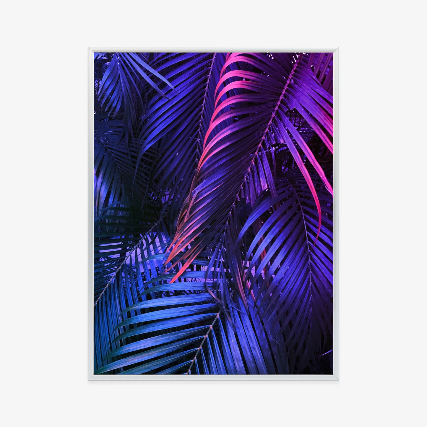 Poster Tropische Neonpalmenblätter Rahmen Holz Mit Passepartout Farbe Natürlich