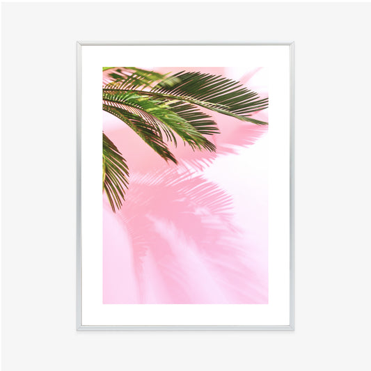 Poster Sommerpalme Vor Einer Rosa Wand