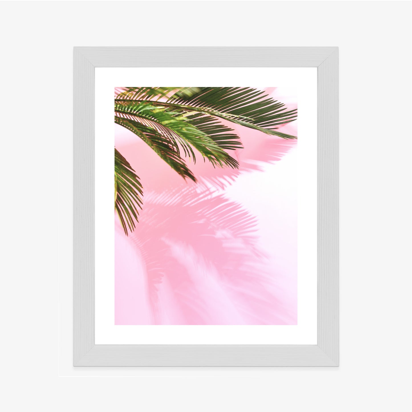 Poster Sommerpalme Vor Einer Rosa Wand