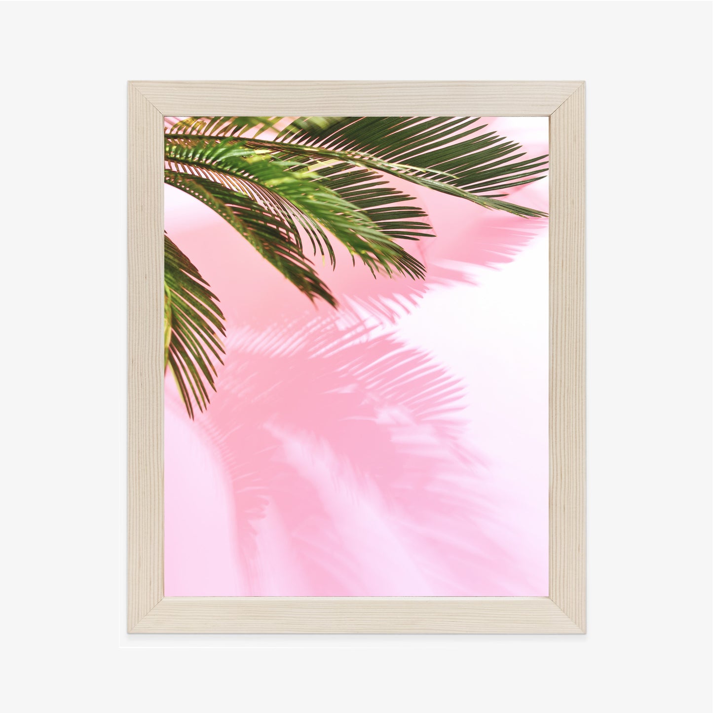 Poster Sommerpalme Vor Einer Rosa Wand