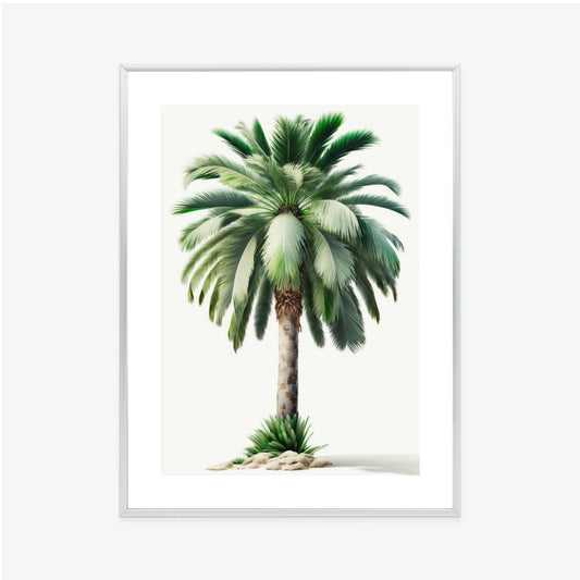 Poster Hohe Grüne Palme Rahmen Holz Mit Passepartout Farbe Natürlich