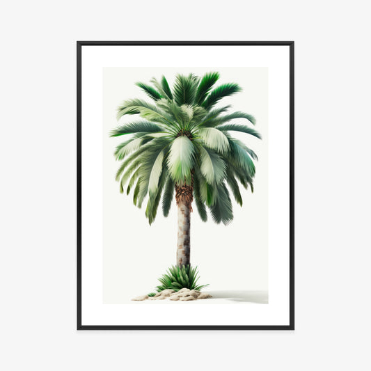 Poster Hohe Grüne Palme Rahmen Holz Mit Passepartout Farbe Natürlich