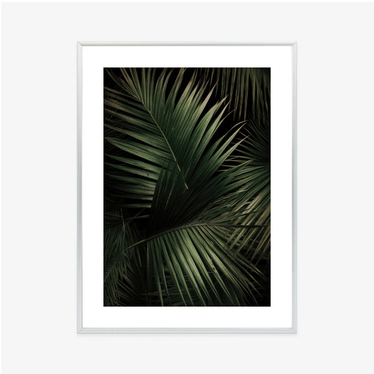 Poster Dunkle Große Palmblätter Rahmen Holz Mit Passepartout Farbe Natürlich