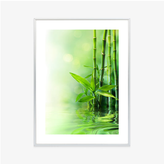 Poster Grüner Bambus Im Wasser Rahmen Holz Mit Passepartout Farbe Natürlich