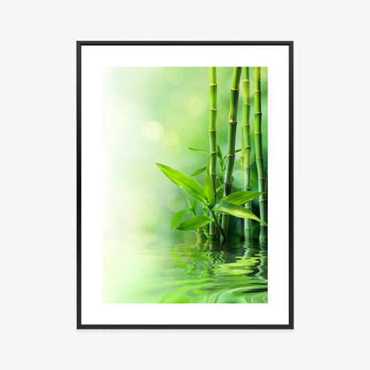 Poster Grüner Bambus Im Wasser Rahmen Holz Mit Passepartout Farbe Natürlich
