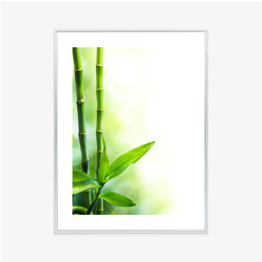 Poster Viele Bambusstiele Und Lichtbalken Rahmen Aluminium Mit Passepartout Farbe Silber