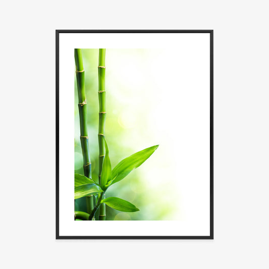 Poster Viele Bambusstiele Und Lichtbalken Rahmen Aluminium Mit Passepartout Farbe Silber