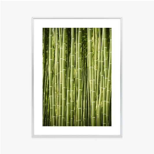 Poster Bambuszaun Rahmen Holz Mit Passepartout Farbe Natürlich