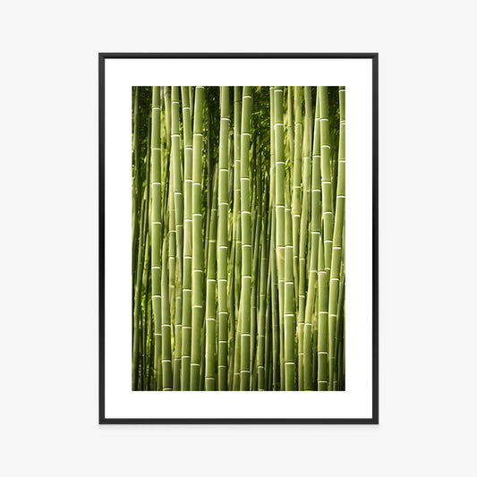 Poster Bambuszaun Rahmen Holz Mit Passepartout Farbe Natürlich