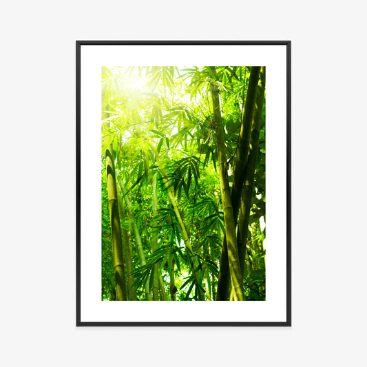 Poster Sonne Und Bambuswald Rahmen Holz Mit Passepartout Farbe Natürlich