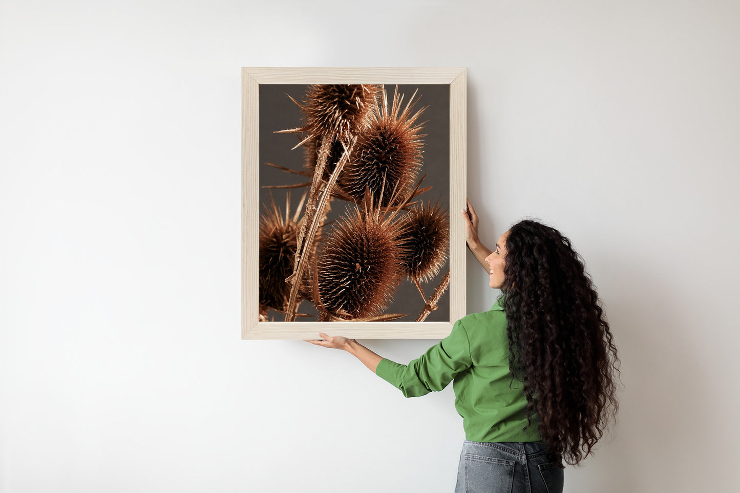 Poster Trockene Klette Rahmen Holz Mit Passepartout Farbe Weiß
