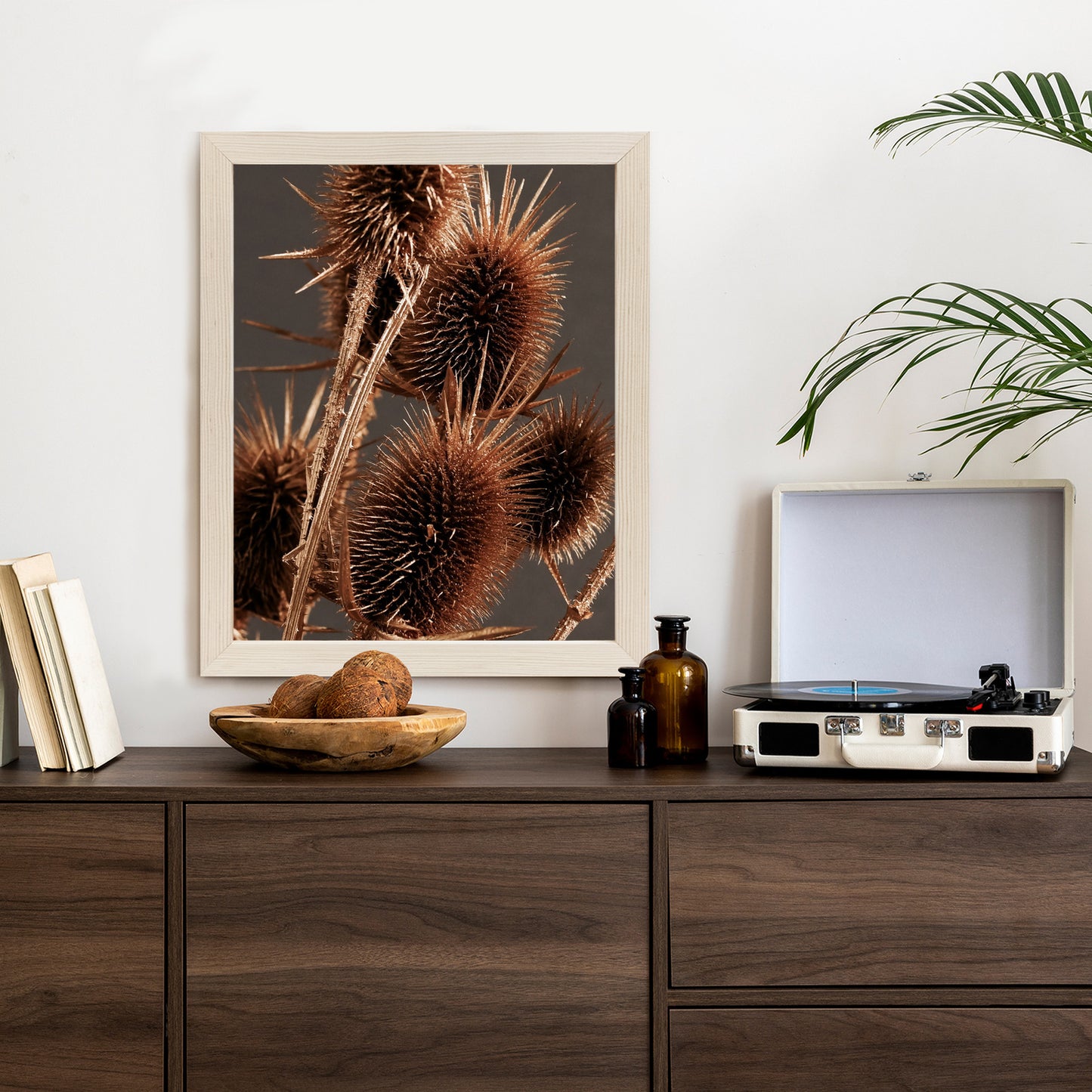 Poster Trockene Klette Rahmen Holz Mit Passepartout Farbe Weiß
