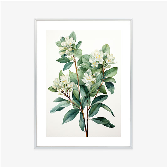 Poster Weiße Blüten Auf Einem Zweig Rahmen Holz Mit Passepartout Farbe Natürlich