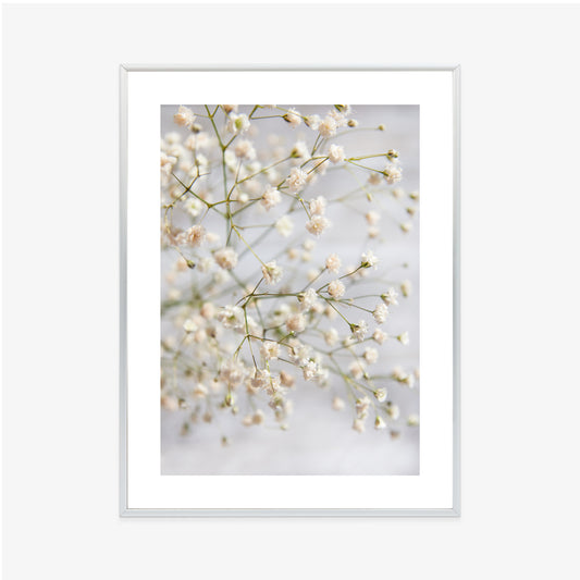 Poster Weiße Kleine Blüten An Dünnen Zweigen Rahmen Hölzern Farbe Schwarz