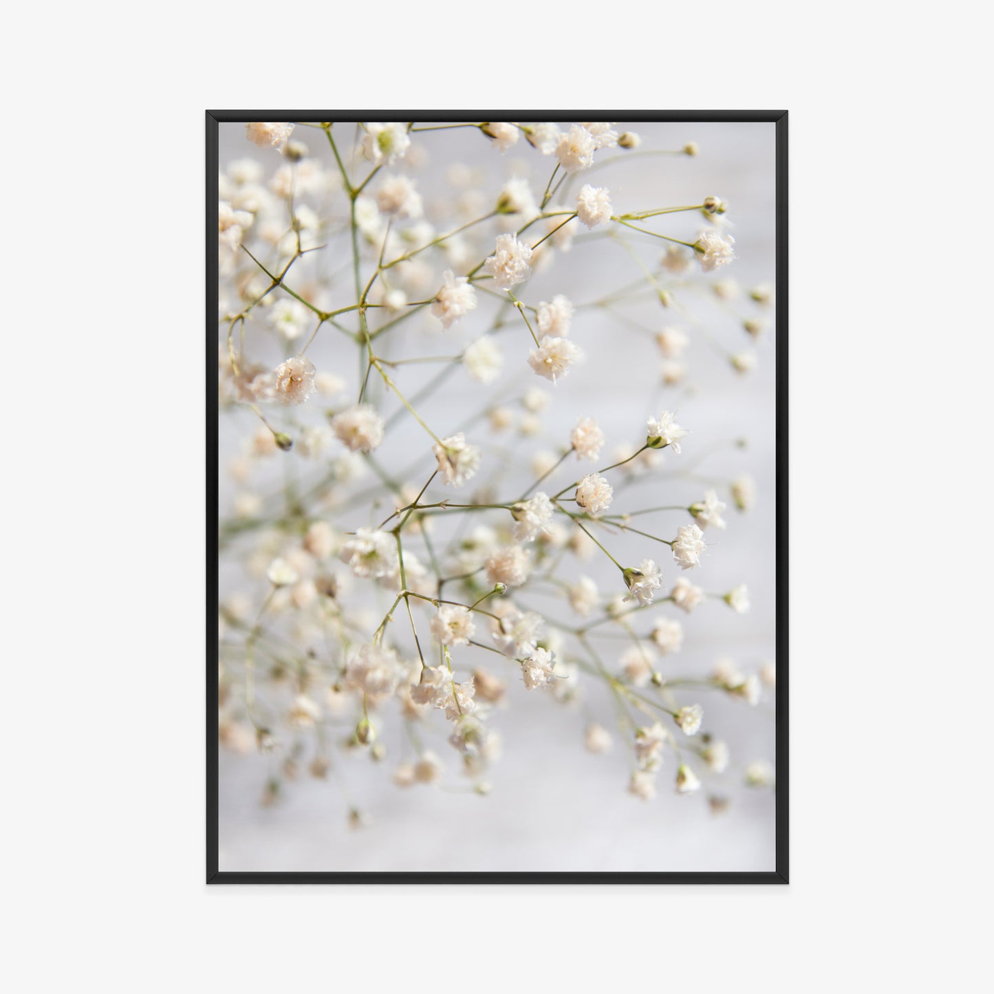 Poster Weiße Kleine Blüten An Dünnen Zweigen Rahmen Hölzern Farbe Schwarz